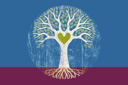 Radical Hearts, Open Minds